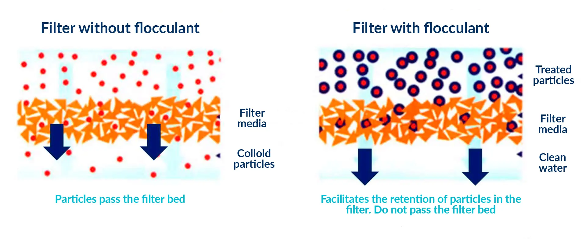 Flocculation and coagulation in water treatment: key to water transparency - Fluidra
