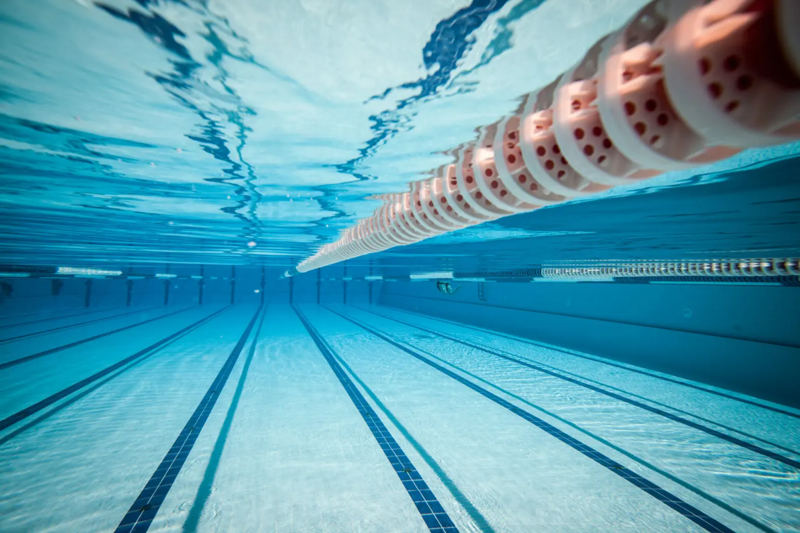 The role of swimming lane and their regulation - Fluidra