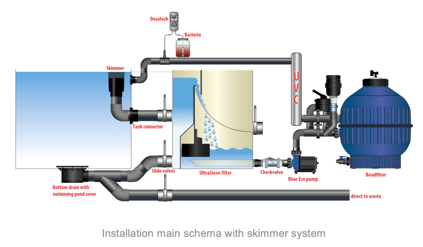 Pond filtration systems: finding the ideal solution for naturalized pools 7 Skimmer system sc