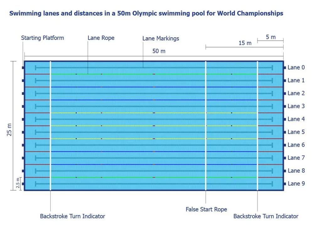 El papel del carril de natación y su regulación: imprescindible para las piscinas deportivas 2 Swimming lane distances