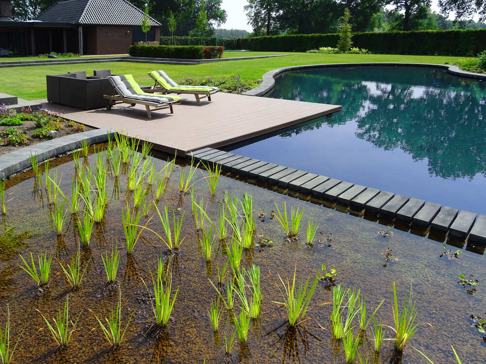 Benefits of natural pools