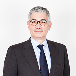 Albert Collado Armengol Albert Collado Armengol