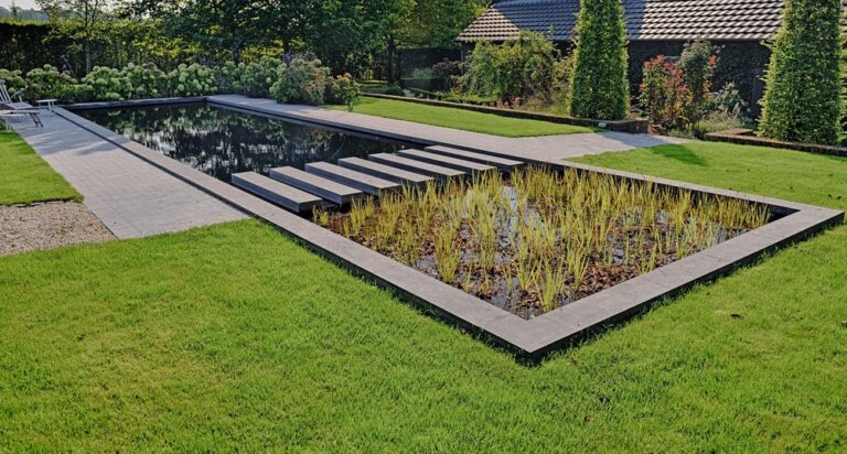 Natural Pool Design System Natural pool design: a guide to embrace nature in aquatic facilities ...
