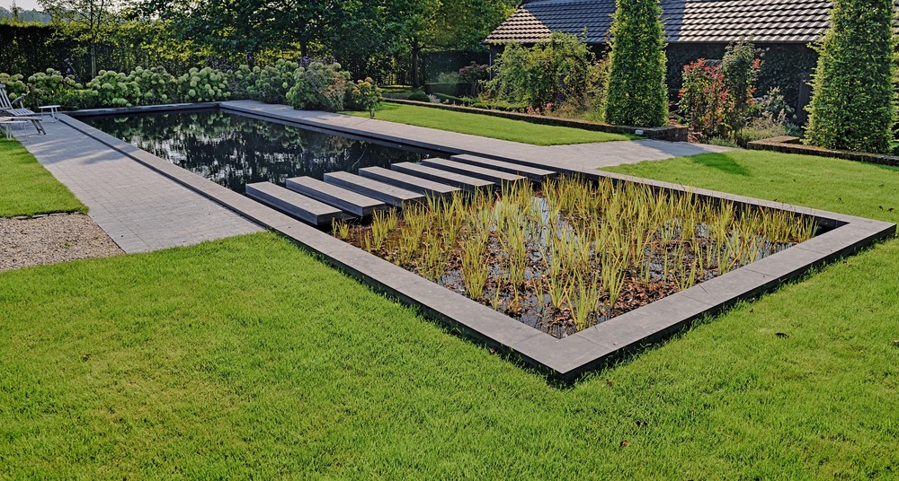 Natural pool design: a guide to embrace nature in aquatic facilities 1 How do natural pools work