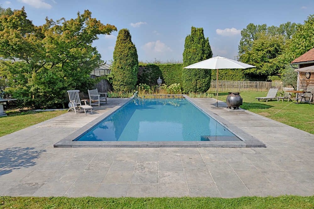 Natural pool design: a guide to embrace nature in aquatic facilities 4 The environmental and health benefits of natural pool design