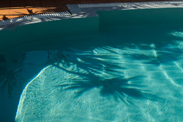 Why is my pool water white? 1 why is the water in my pool white?